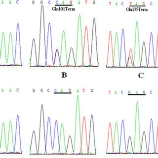 Dna Sequences Of Grygd In Affected And Control Individuals Four