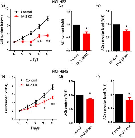 IA 2 Silencing By RNAi Leads To Reduced SCLC Cell Proliferation And ACh