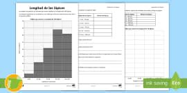 Ficha de actividad Dibujar ejes de simetría Twinkl