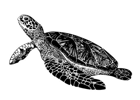 Line Drawing Big Cute Realistic Sea Turtle Stock Vector - Illustration ...