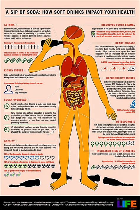 Dr Ecofren How Do Soft Drinks Affect Us