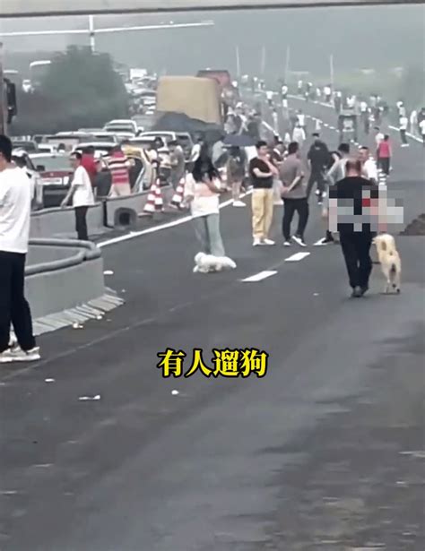 國慶黃金周｜民眾出遊塞車冇有怕 麻將、電飯煲都準備好了 星島日報