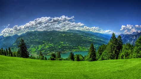 Fond d écran lumière du soleil paysage forêt Montagnes mer