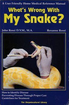 B D C M Od Bibliotekark Games You Can Play With Your Pussy