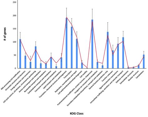 Mean Eukaryotic Orthologous Group KOG Class Distribution Among