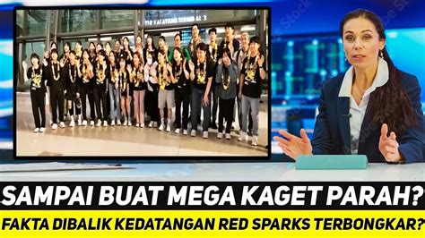 SULIT DIPERCAYA BUAT MEGAWATI KAGET FAKTA TERPENDAM DIBALIK