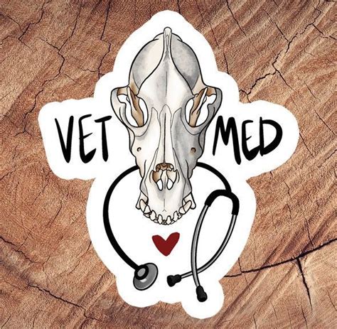 Vet Med Canine Skull Sticker Laminated Sticker Waterproof Sticker For