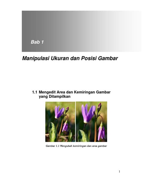 Pdf Manipulasi Ukuran Gambar Di Photoshop Dokumen Tips