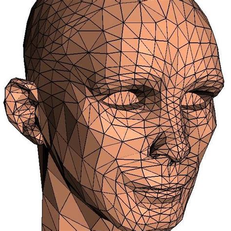 1 Construction Of An Animatable Model From Artificial Head Geometry