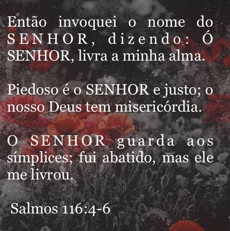 Palavras Do Senhor Palavras Do Senhor B Blia Sagrada Palavras