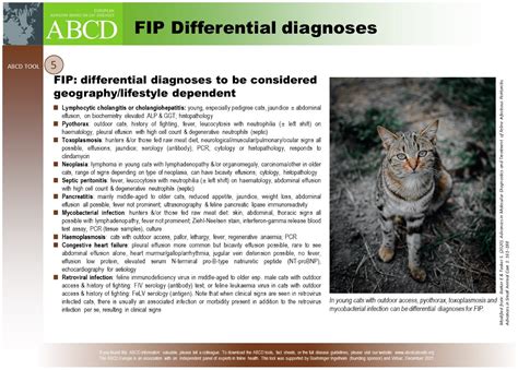 Feline Infectious Peritonitis Fip Causes Symptoms