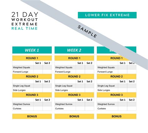 21 Day Fix Extreme Real Time Printable Tracking Sheets