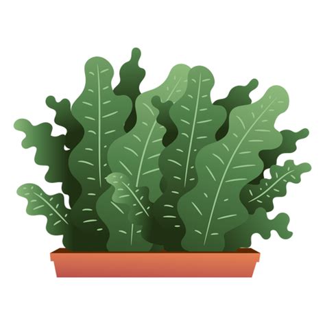 Diseño Png Y Svg De Caja De Plantas Verdes Para Camisetas