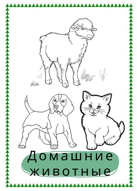 Раскраска домашние животные - AngelStudio - скачать на Wildberries ...