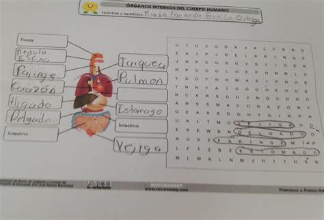 Ayudaaaa Es Para Ma Ana Esta Tarea Y No C Como Hacerla Brainly Lat