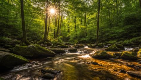 Massacoe State Forest Explore Connecticut Parks Verdant Traveler