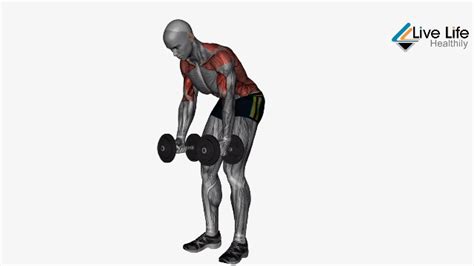 Bent Over Row: How To, And 7 Best Variations That Build Back Muscles