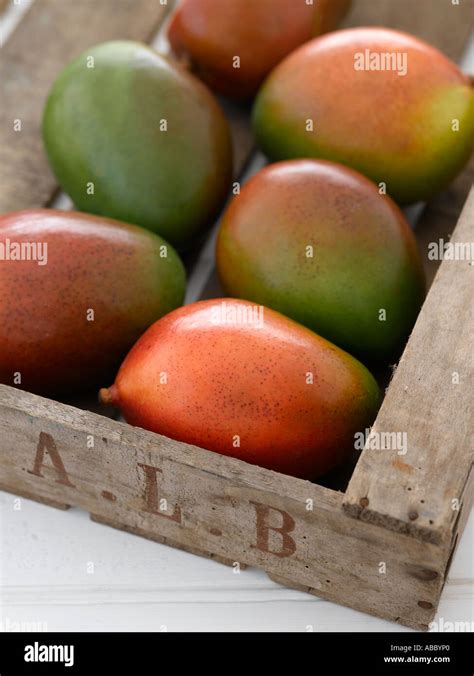 Mangoes Hi Res Hi Res Stock Photography And Images Alamy