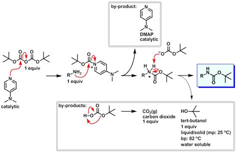 Boc Protection Mechanism Boc O Dmap