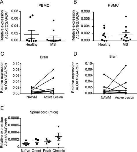 Expression Of Lipoxygenase 12 And 15 In Ms Patients And Lipoxygenase