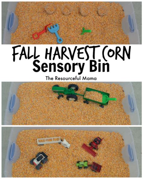 Fall Harvest Fun Exploring The Corn Sensory Bin The Resourceful Mama