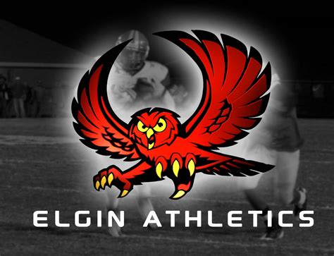 Athletic Information - Elgin Public Schools