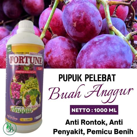 Jual Pupuk Organik Cair Anggur Alami Booster Buah Ilmiah Dari Anggur