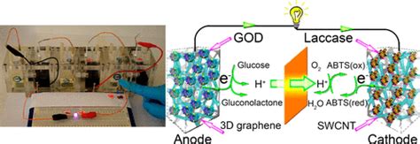 Three Dimensional Graphene Carbon Nanotube Hybrid For High Performance Enzymatic Biofuel Cells