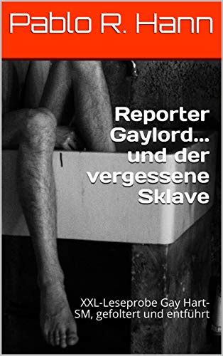 Reporter Gaylord Und Der Vergessene Sklave Xxl Leseprobe Gay Hart