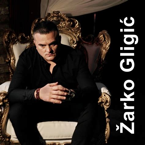 BN Music Produkcija | Žarko Gligić