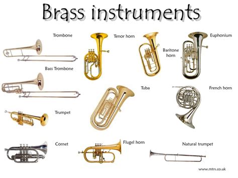 Instrument Families By Danielle Jones