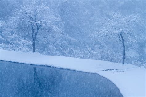 雪の華（新潟県長岡市半蔵金） 越後長岡発／建築・風景写真