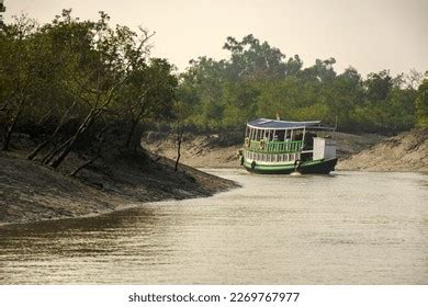 1,230 Sundarban Boat Images, Stock Photos & Vectors | Shutterstock