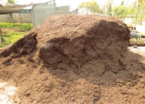 Bulk Potting Soil Windy Willows