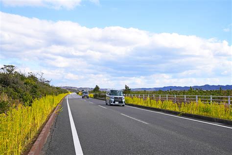 房総フラワーラインの観光ガイド 千葉県館山市館山 南房総市和田町 Navitime Travel