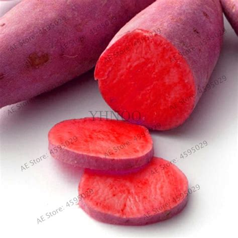 Super Delicious Purple Sweet Potato Seeds Pcs Bestseedsonline