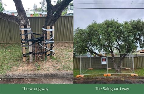 Tree Protection Australia 2024 Tree Protection Australia