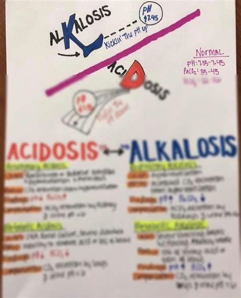 Solution Alkalosis And Acidosis Flashcard Studypool