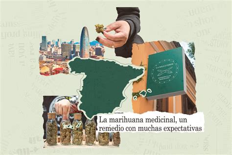 Situaci N Legal Del Cannabis En Espa A Todo Lo Que Debes Saber Rqs Blog