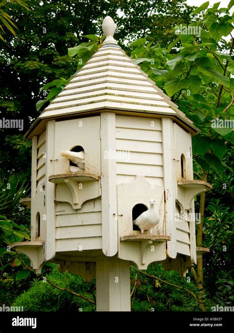 Dovecote With Doves Stock Photo Royalty Free Image 5570102 Alamy