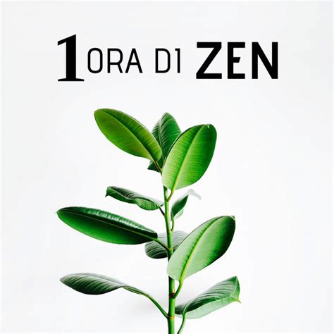 1 Ora Di Zen Musica Per Il Rilassamento Della Mente Corpo E Spirito