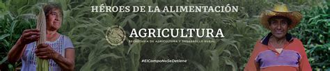 Secretaría De Agricultura Y Desarrollo Rural Gobierno Gob Mx