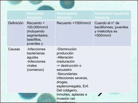 Interpretacion Del Hemograma PPT