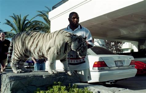 Mike Tyson reveals how he got his tigers - Yahoo Sports