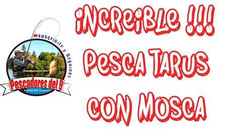 Pesca De Tarariras Con Mosca YouTube