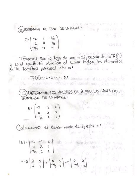 Ejercicios De Algebra Lineal Pdf