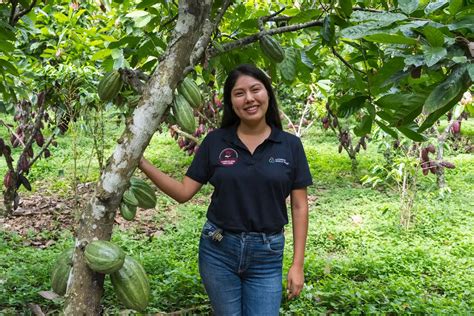 Qori Warmi La Cooperativa Que Empodera A Mujeres Cacaoteras En El Vraem