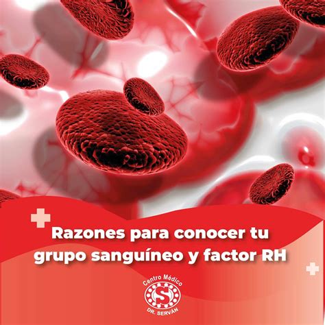 Razones para conocer tu grupo sanguíneo y factor RH Centro Médico Dr