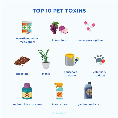 Pet Care Awareness The Top 10 Pet Toxins Of 2021