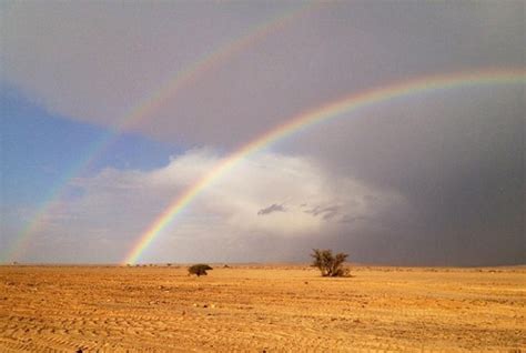 Rare rainbow suddenly appeared in the desert